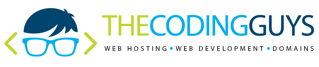 The Coding Guys